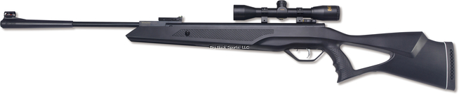 Beeman 10617 Longhorn Air Rifle Combo w/Black Synthetic stock | 026785010614