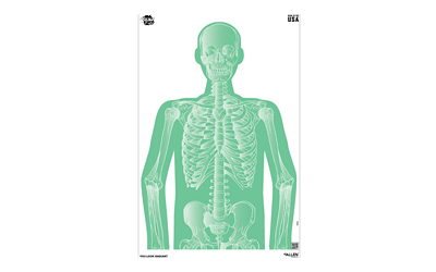 ALLEN EZ AIM 23X35 RADIANT SILH 3PK | 026509068044