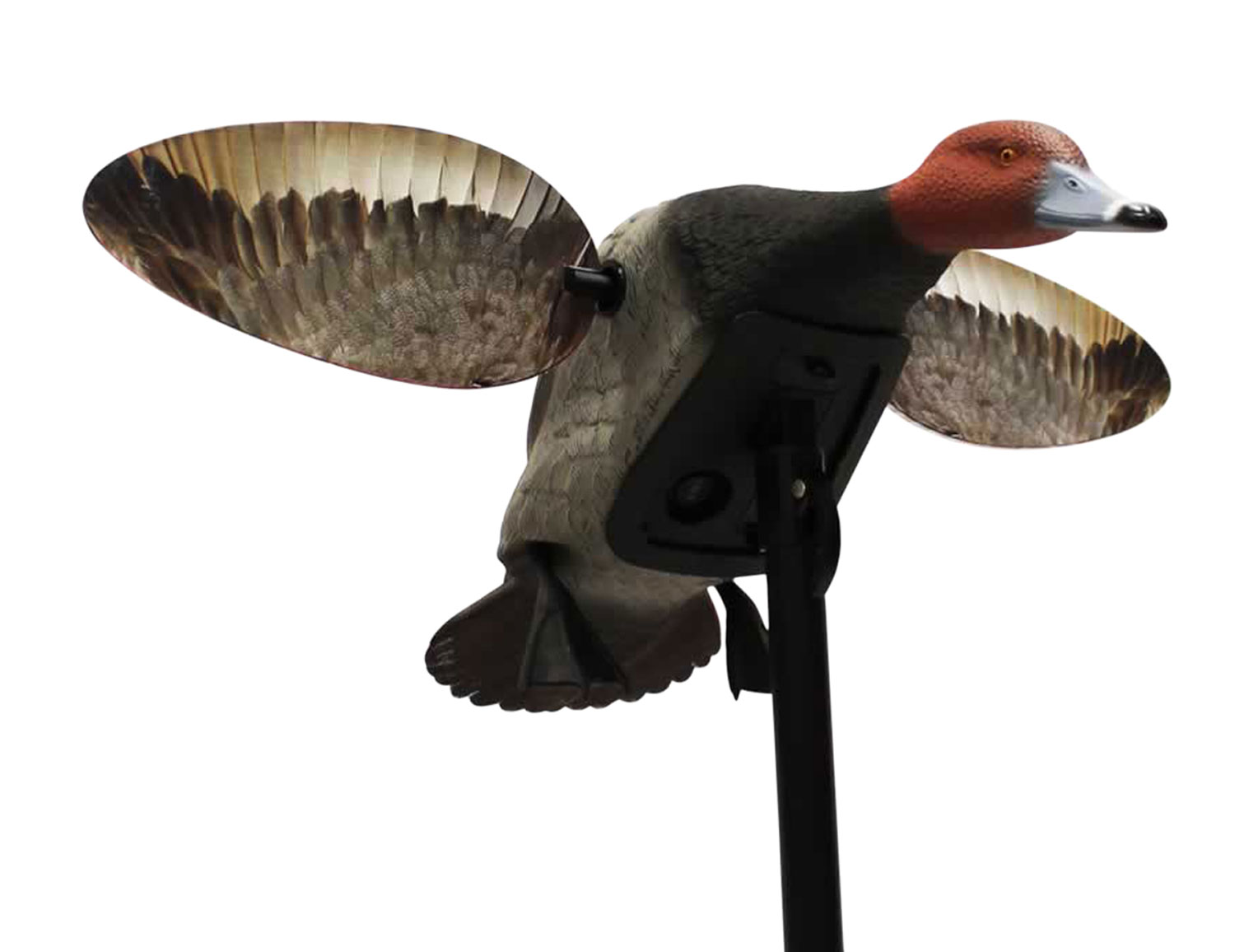 Mojo Outdoors HW2492 Elite Series Diver Redhead Duck Species Multi Color Plastic Features Remote Compatible