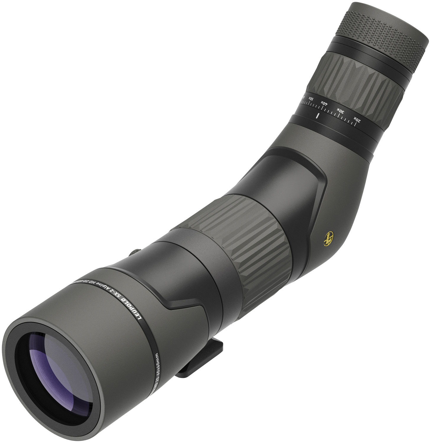 Leupold 180143 SX-2 Alpine HD  20-60x60mm Shadow Gray Angled Body