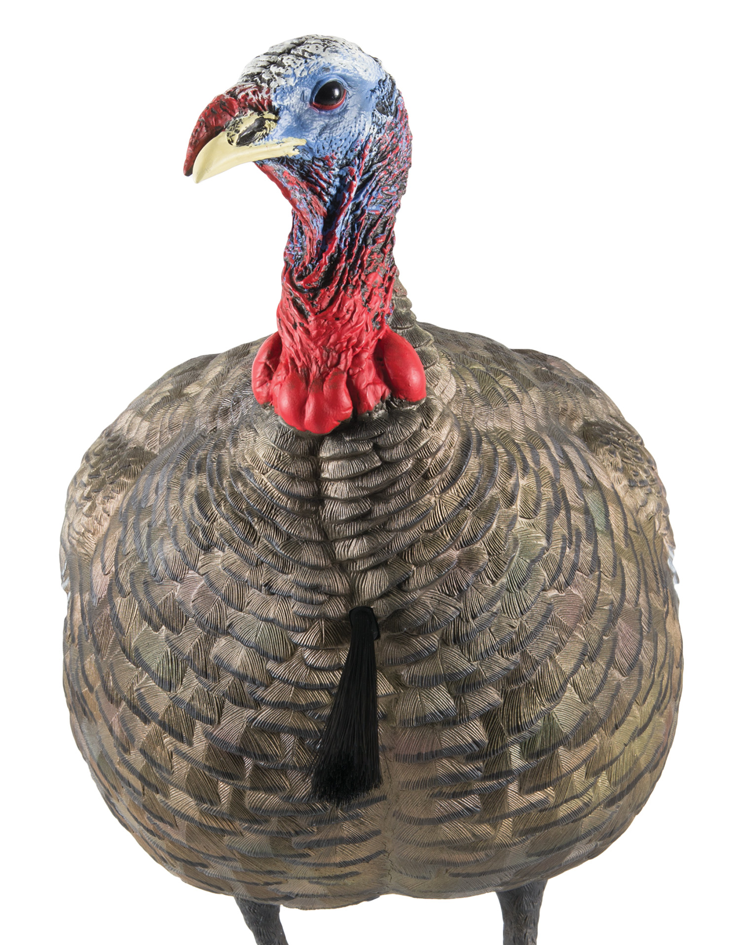 Avian X AVXAVX8003 LCD QuarterStrut Jake Turkey Species Multi Color DuraRubber | 810280080032