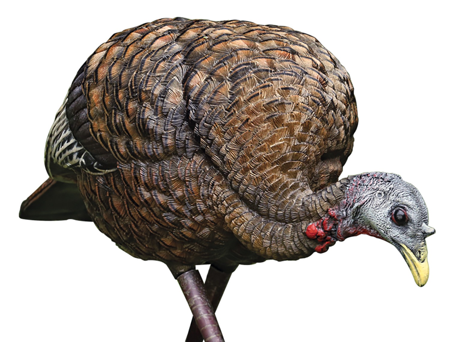 Avian X AVXAVX8007 LCD Feeder Hen Turkey Species Multi Color DuraRubber | 810280080070
