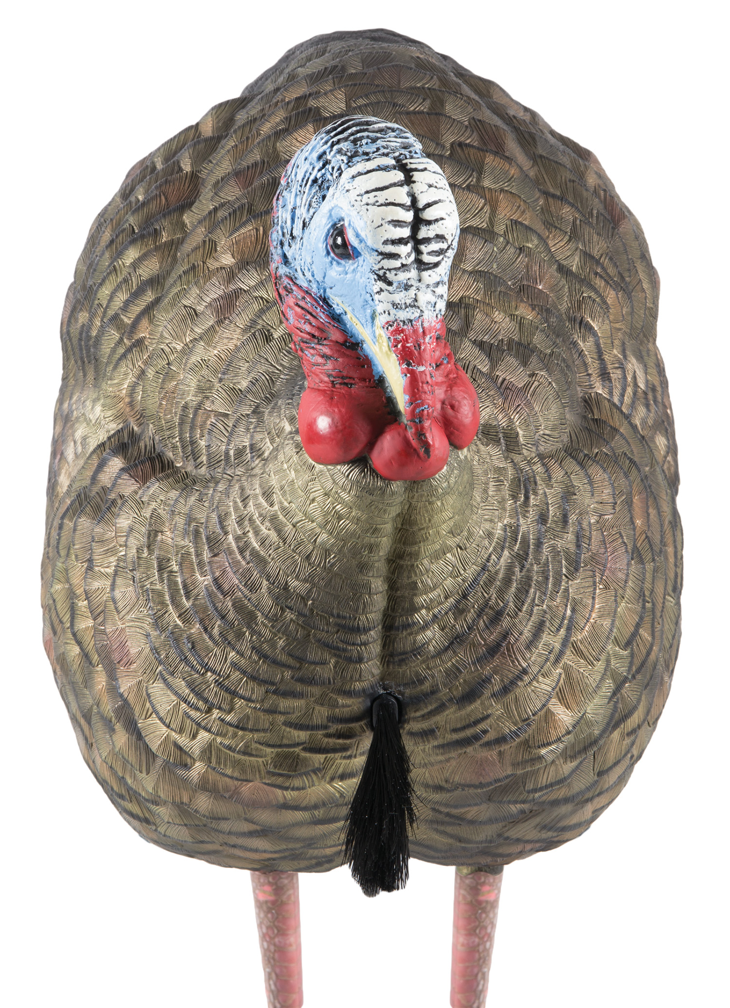 Avian X AVXAVX8012 LCD HalfStrut Jake Turkey Species Multi Color DuraRubber | 810280080124