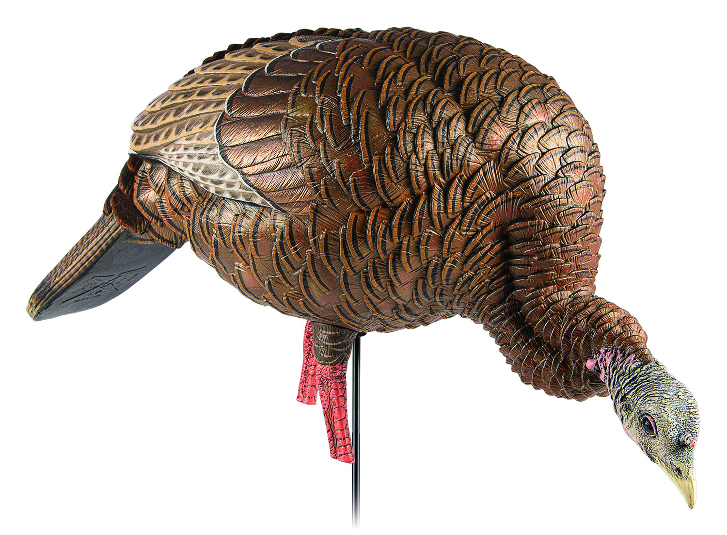AVIAN X HDR FEEDING HEN DECOY | 082271001818