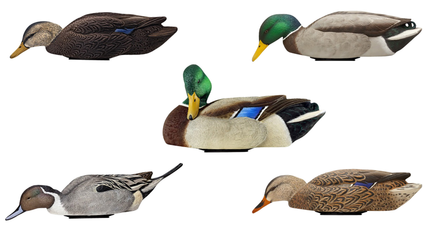 Avian X AVXPSHMHSF Power Shaker  Mallard Hen Surface Feeder MultiColor | 888151047538