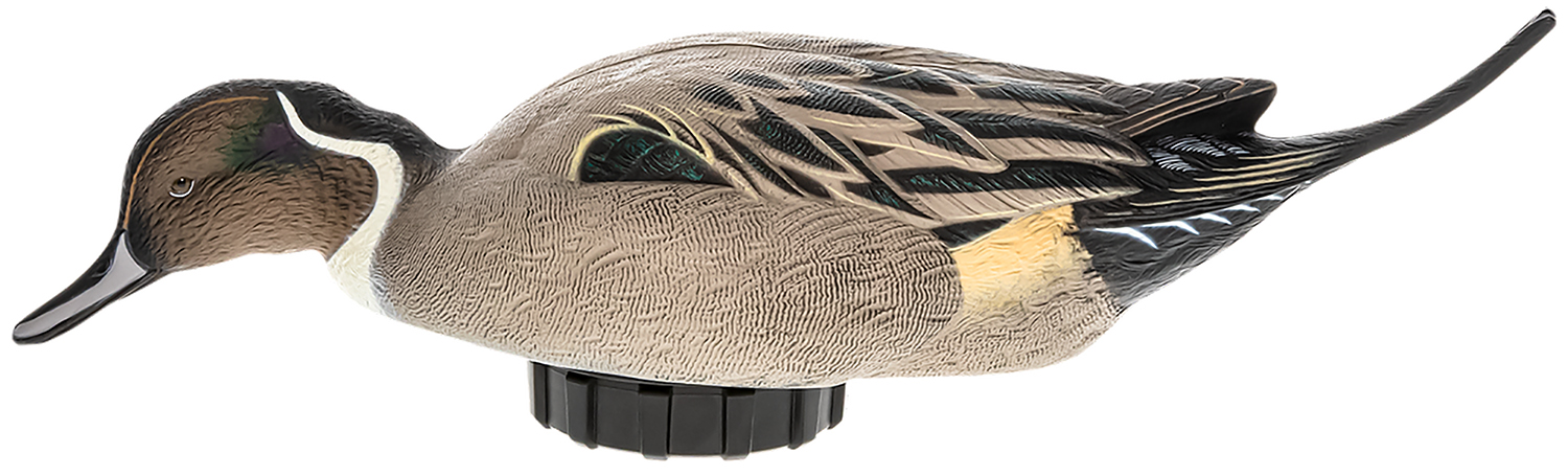 Avian X AVXPSHPNSF Power Shaker  Pintail Surface Feeder Duck Decoy MultiColor | 888151047552