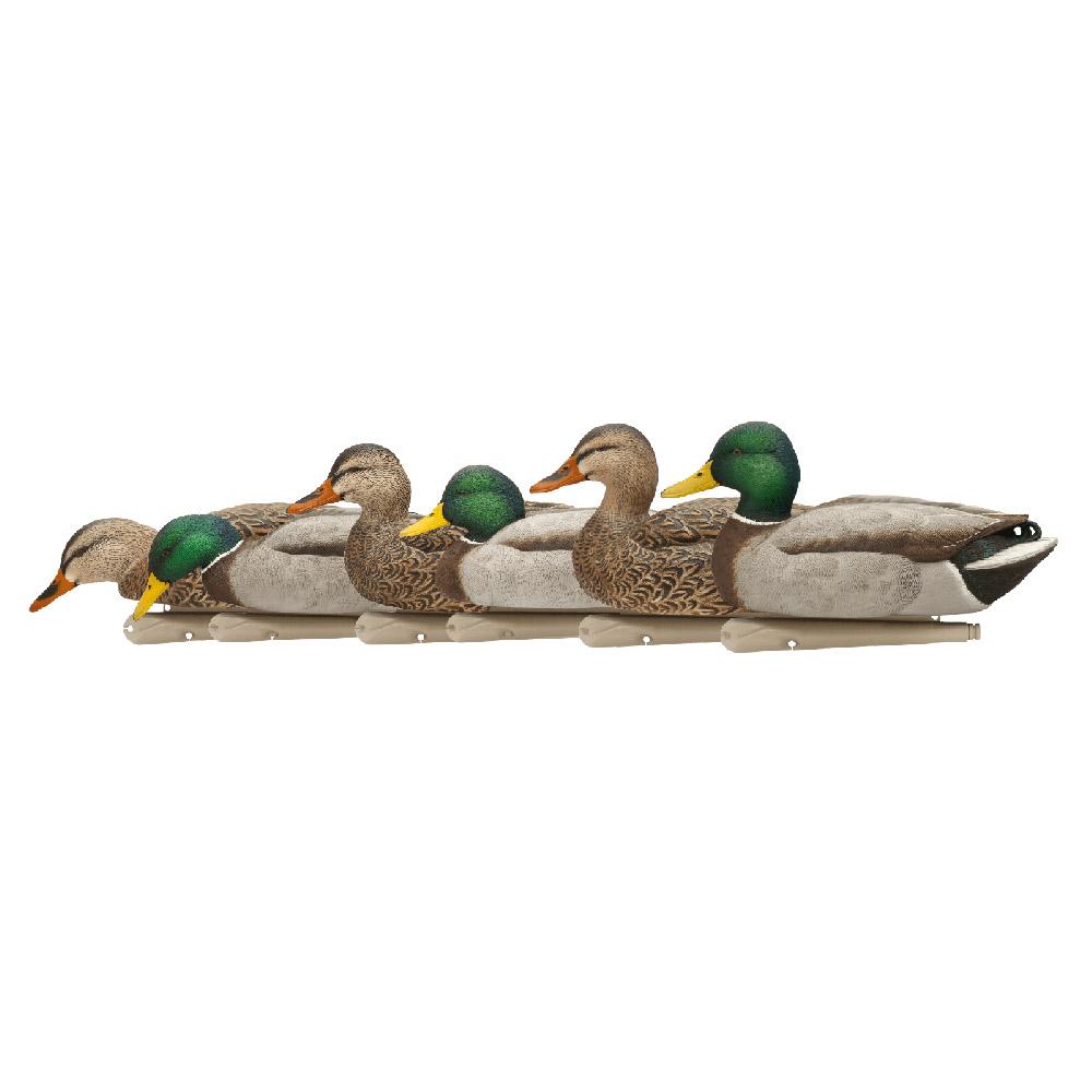 Avian X AVXAVX8076 Topflight Fusion Mallards MultiColor 6 Pack | 810280080766