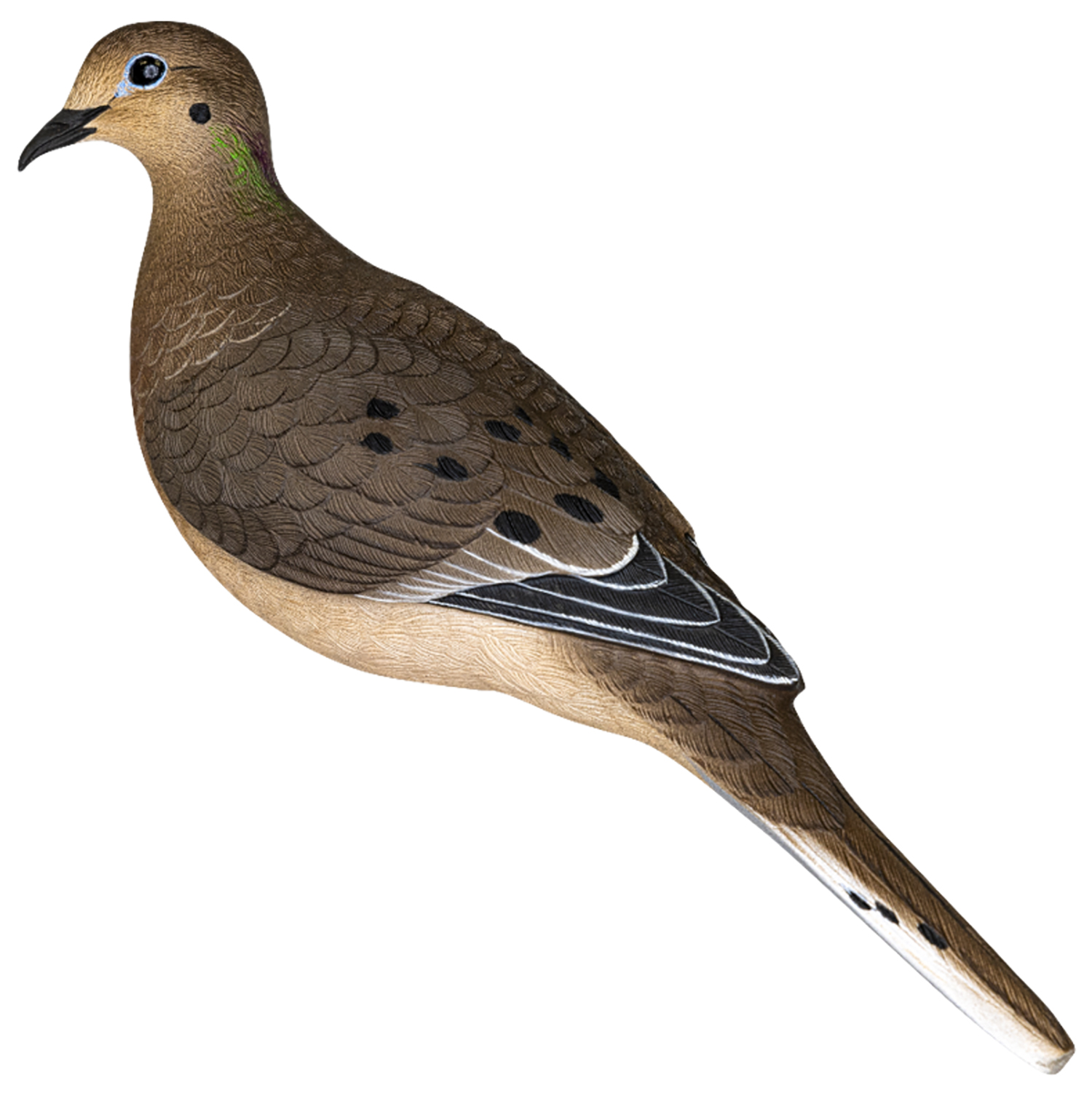Avian X AVXDOVE6PK  Full Body Dove MultiColor 6 Pack | 888151061176