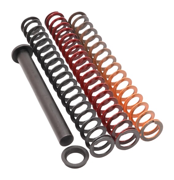 TRUE PREC RECOIL SPRNG KIT P365 3.1 Inch | 719104543312