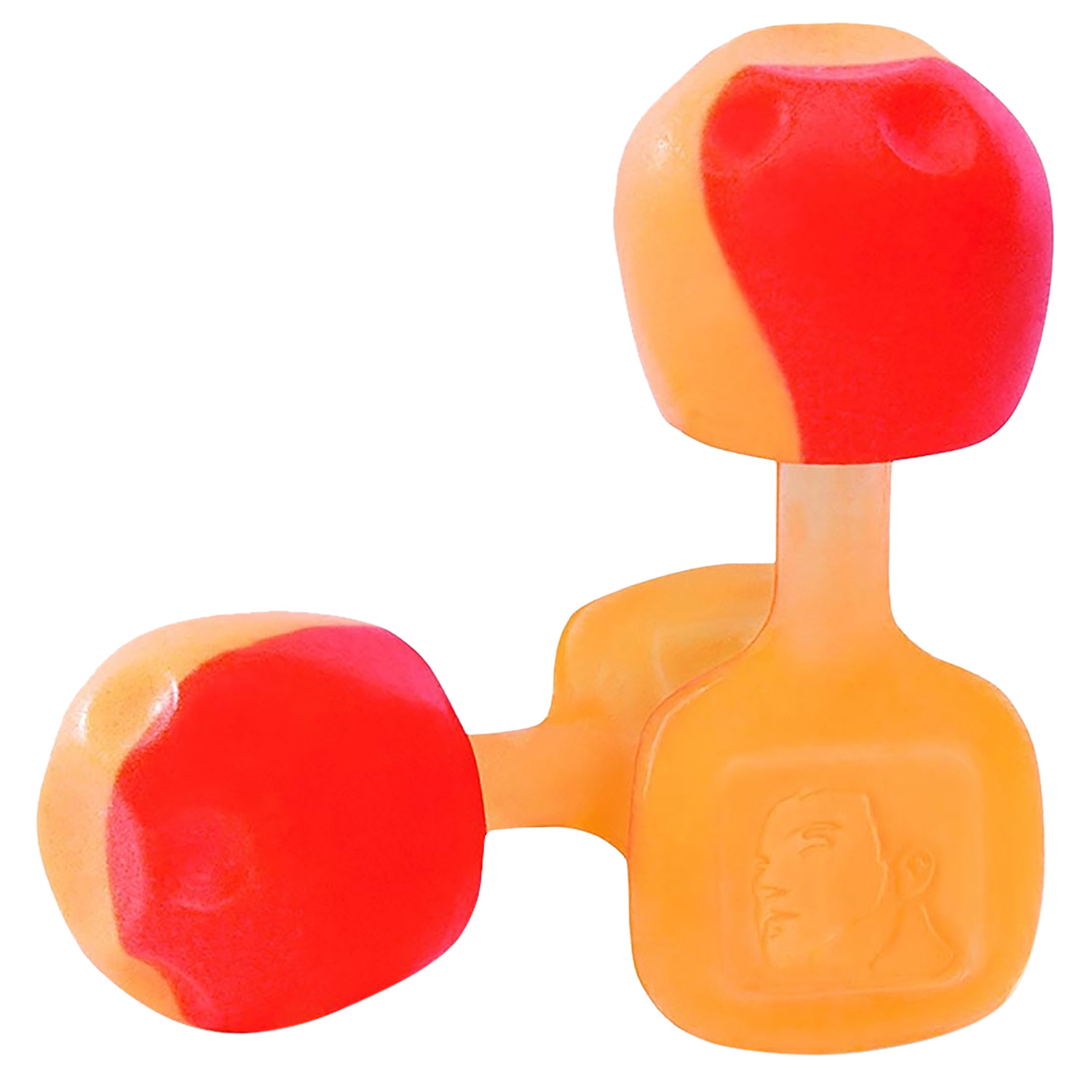 Howard Leight R02236 TrustFit Pod Earplugs Foam 28 dB In The Ear Orange Adult 5 Pair | 033552022367