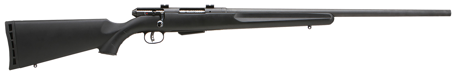 Savage Arms 19156 25 Walking Varminter 204 Ruger Caliber with 41 Capacity, 22 Inch Barrel, Matte Black Metal Finish  Matte Black Synthetic Stock Right Hand Full Size | .204 RUGER | 011356191564