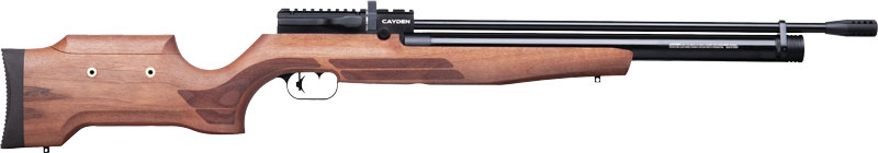 Benjamin BPC22W Cayden, PCP Air Rifle , .22 cal, 1000 fps | .22 PEL | 028478152908