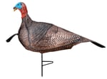 PRIMOS TURKEY DECOY PHOTOFORM JAKE | 010135690694