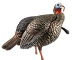 AVIAN X HDR JAKE DECOY | 082271001030