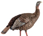 AVIAN X HDR HEN DECOY | 082271001696