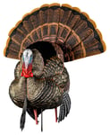 AVIAN X HDR STRUTTER DECOY | 082271001825