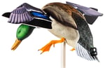 AVIAN X POWERFLIGHT SPINNING WING MALLARD DECOY | 082271001795