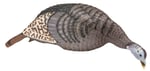 HS STRUT TURKEY DECOY HEN STRUT-LITE FEEDER | 021291000050