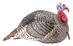 HS STRUT TURKEY DECOY JAKE STRUT-LITE | 021291000067
