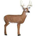 GLENDEL 3D BUCK TARGET 48 Inch W/4 SIDED INSERT BROADHEAD RATED | 702649710004