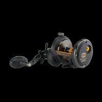 Penn SQLII30SD Squall 30sz Star Drag, Graphite Frame and side Plate | 031324174825