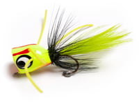 Betts 304-6-9 Bee Pop Popper Assorted Sz 6 | 042621022603