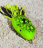 Scum Frog SF-128 Topwater Frog, 2 1/2 Inch, 5/16 oz, Chartreuse Natural | 031132001283 | Scrum Frog | Fishing | Baits and Lures | FROGS