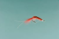 Jackson Cardinal 629-4 Saltwater Fly, 4, Shrimp Pink | 027526143301