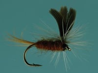 Jackson Cardinal 894-16 Dry Fly 16 Parachute Mahagony Dun | 027526491235 | Jackson | Fishing | Baits and Lures | FLIES