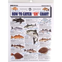 Tightlines 00004 How To Catch Em Chart 2 Saltwater | 738875000046
