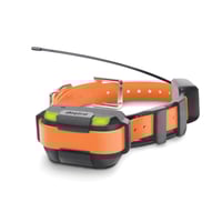 Dogtra PATHFINDER MINI RX Orange Additional Receiver 4-Mile 21-Dog | 644622080158