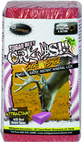 Wildgame Innovations 00015 Sugarbeet Smash Salt Block 4 | 855018000159