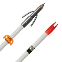 AMS A208-WHT Fiberglass Arrow Chaos QT Point  AMS EverGlide | 645756208005 | AMS | Archery | Bows and Crossbows | Bowfishing