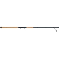 Fenwick ETINS80H-FS Elite Inshore Spin Rods, 30 ton carbon Blank | 022021642762
