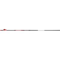 Bloodsport Punisher Arrow 300 Spine 6/pk | 042609000999