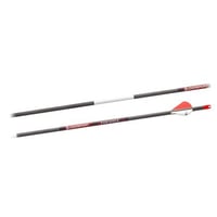Bloodsport Punisher Arrow 350 Spine 6/pk | 042609001002