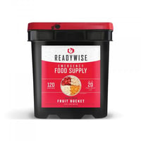 Wise Company Freeze Dried Fruit Bucket 120 Servings | 855491007300
