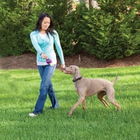 PetSafe Free to Roam Wireless Fence | 729849150010