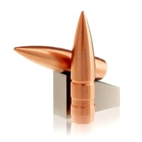 Lehigh .264 cal 110gr Match Solid Lead-Free Target Rifle Bullets 50/rd | 04264110SP50