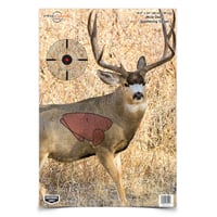 PREGAME 16.5X24IN MULE DEER 3PKPREGAME 16.5 Inch x 24 Inch Mule Deer Target  - Shots on vital areas react in a highly-visible color - Different colored reactive zones within the target | 290573540274