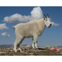 DuraMesh Archery Target  br  Mountain Goat 25 in. x 32 in. | 745205992254