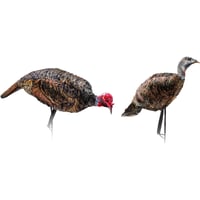 Montana Decoy PurrFect Pair XD Decoy Combo | 851234000867