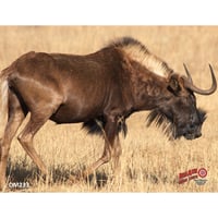 DuraMesh Archery Target  br  Black Wildebeest 25 in. x 32 in. | 745205023200