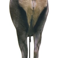 Montana Decoy Backcountry Elk Decoy | 851234000782