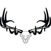 Raxx Bow Hanger  br  Elk Skull | 855809007169
