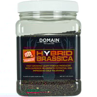 Domain Hybrid Brassica Pounder Seed | 850033777314
