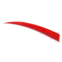 Trueflight Shield Cut Feathers  br  Red 4 in. RW 100 pk. | 650747116030