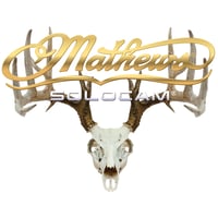 DWD Mathews Decal  br  Solocam Skull Gold 10x8 in. | 609207053408
