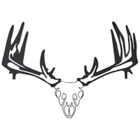 Raxx Bow Hanger  br  Whitetail Skull | 855809007046