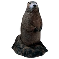 Delta McKenzie Backyard 3D Target  br  Woodchuck | 090766505154